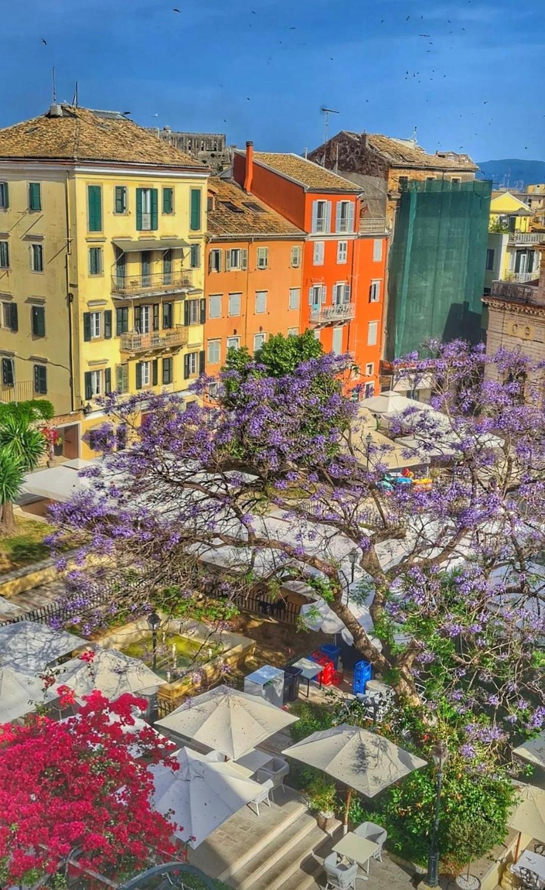 Old Town Hall Apartment Corfu (city)